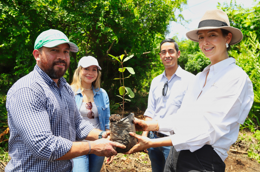 GIZ, Davivienda Seguros y Fundemas reafirman alianza en favor de la conservación de manglares