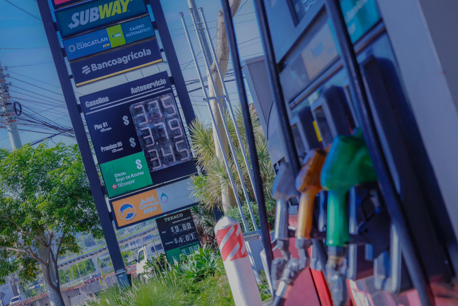 El Salvador enfrenta déficit de 750,000 quintales de frijol para 2024