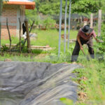 PSX_1851